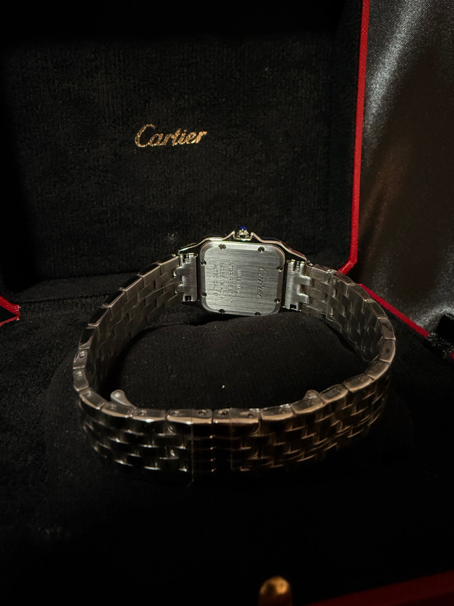 Cartier Panthere Plata
