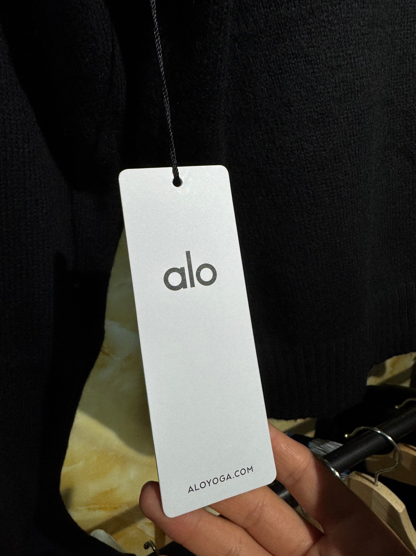 Alo Scholar Hooded Sweater Negra