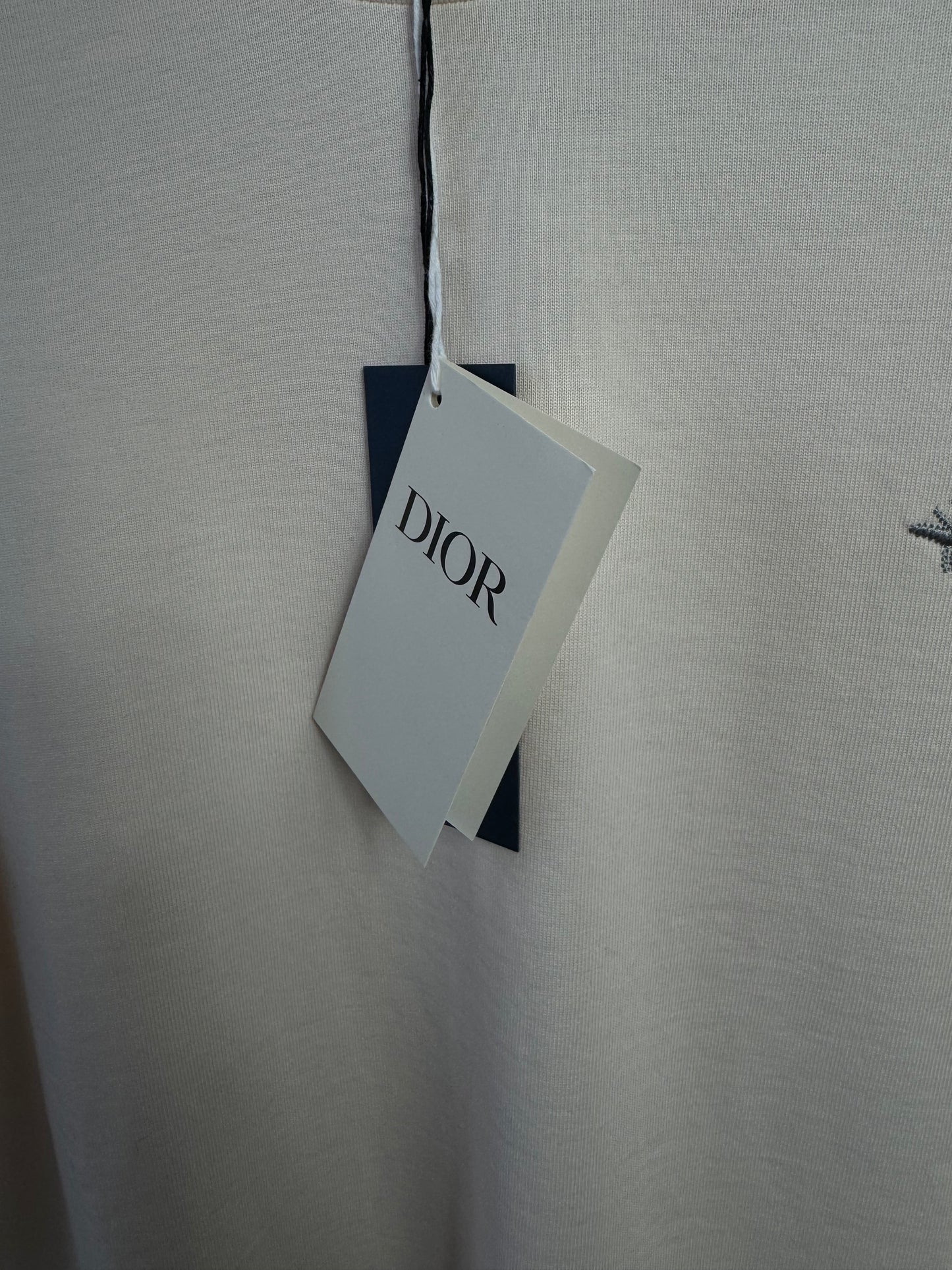 Playera Dior Bordado Abeja Color Salmon UA