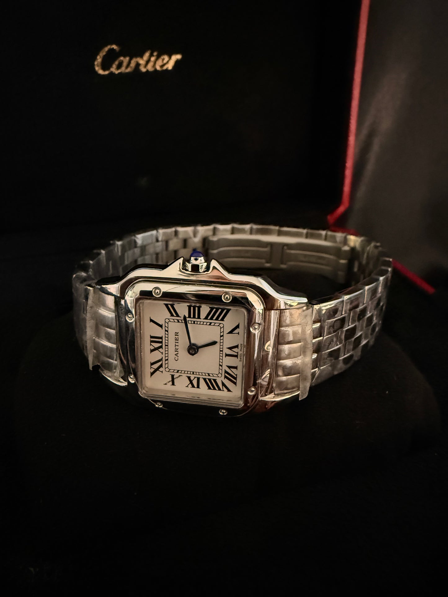 Cartier Panthere Plata