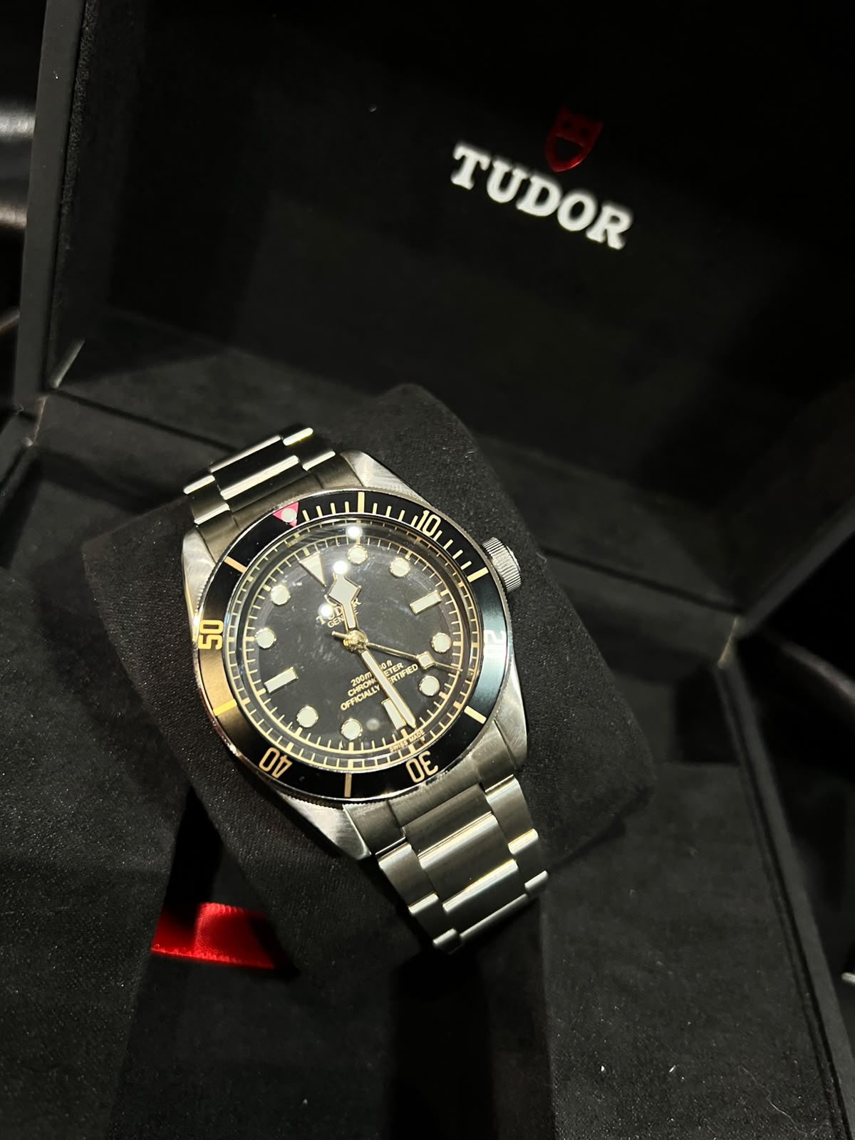 Tudor Black Bay Black