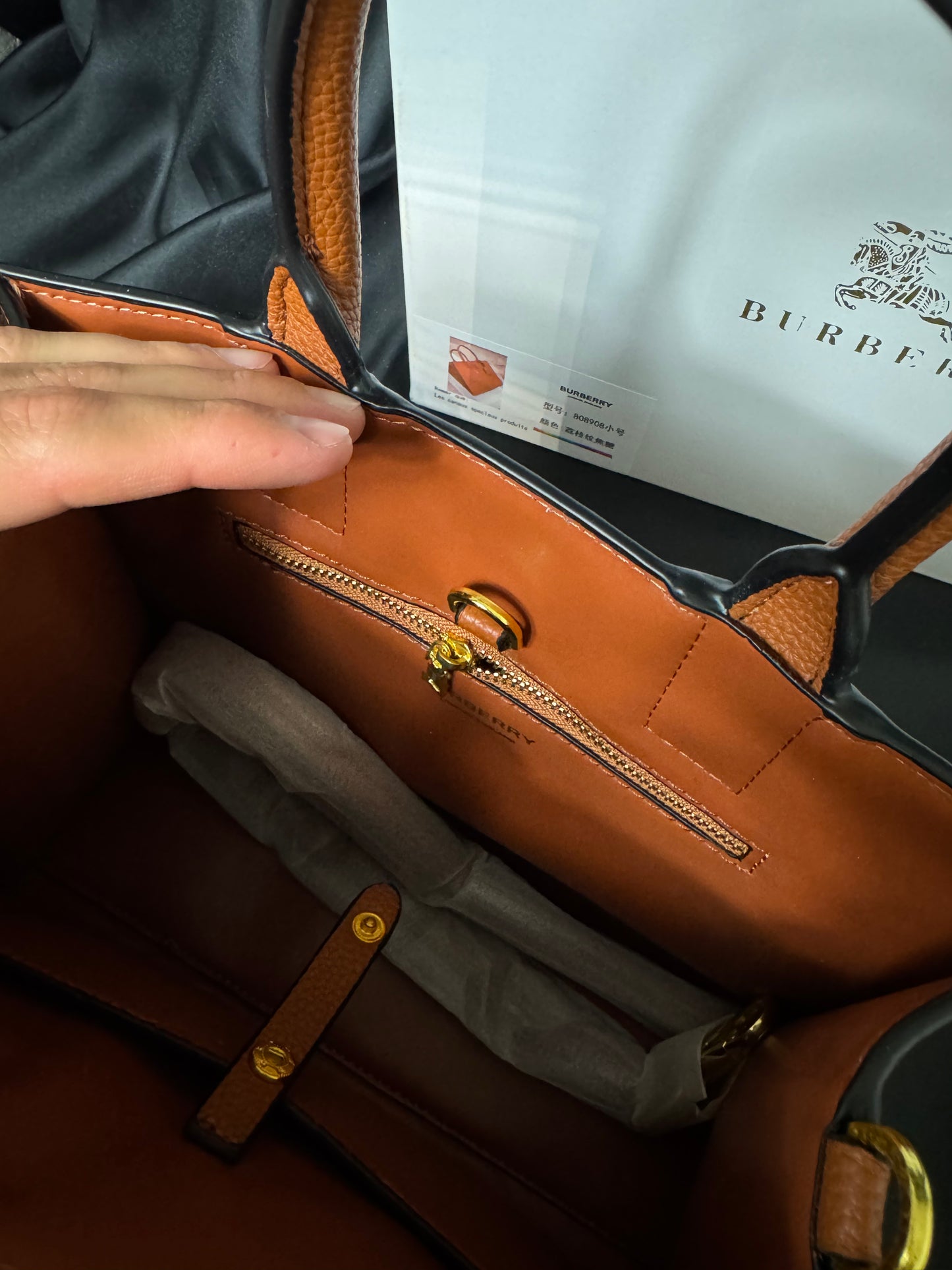 Burberry Mini Francis TB Naranja