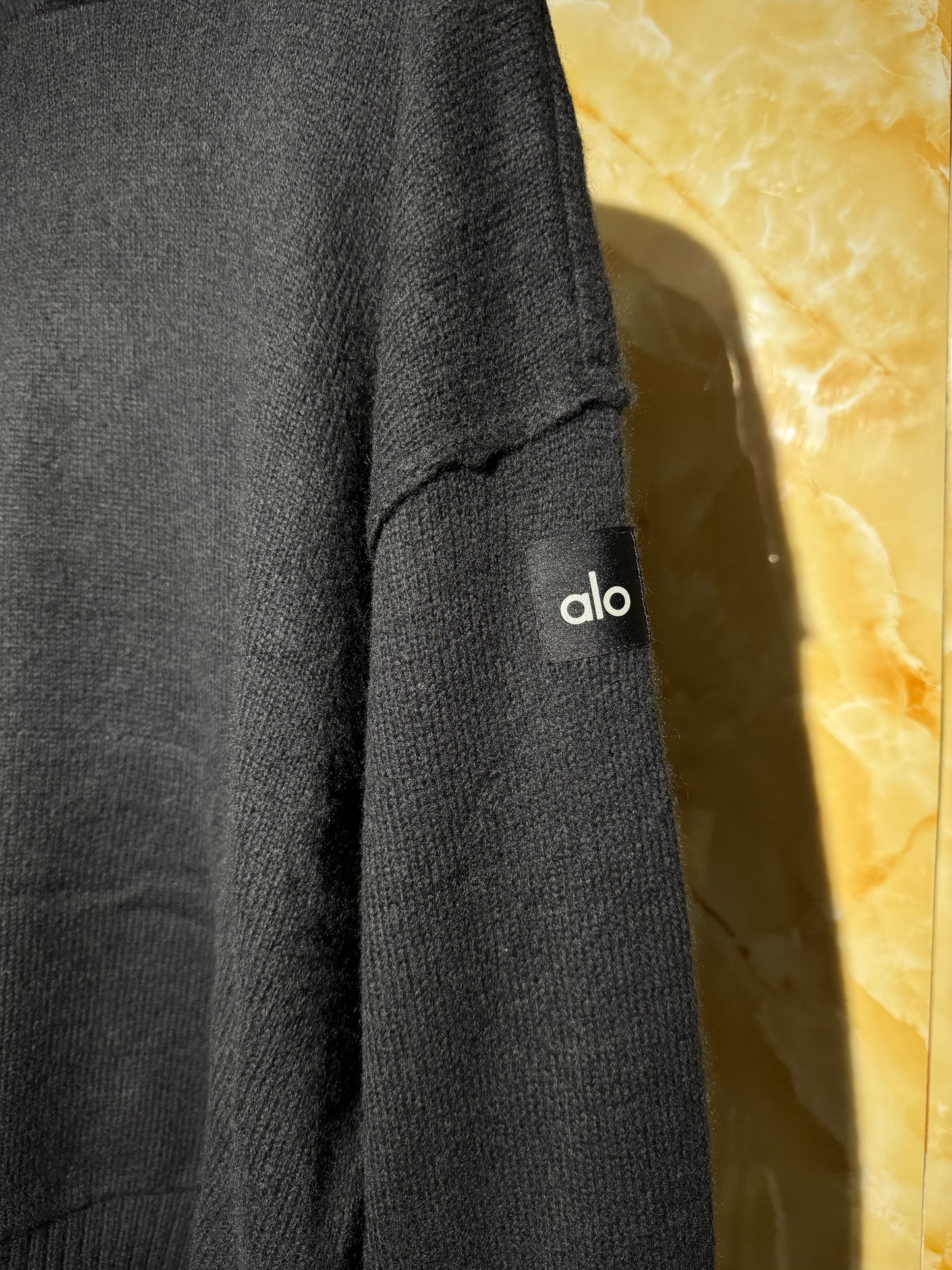 Alo Scholar Hooded Sweater Negra