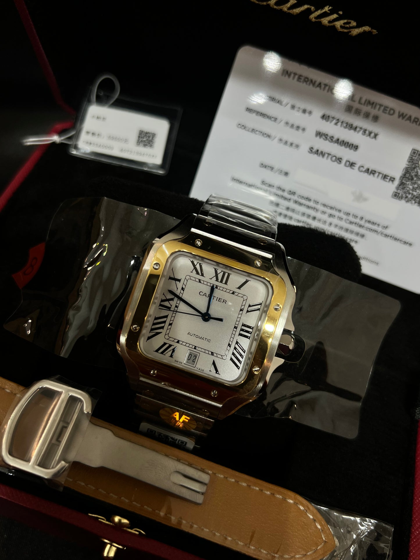 Cartier Santos Dos Tonos Suizo